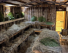 СПА-баня «Алтай»